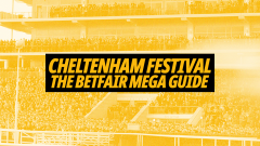 Cheltenham Festival 2026 Ultimate Guide